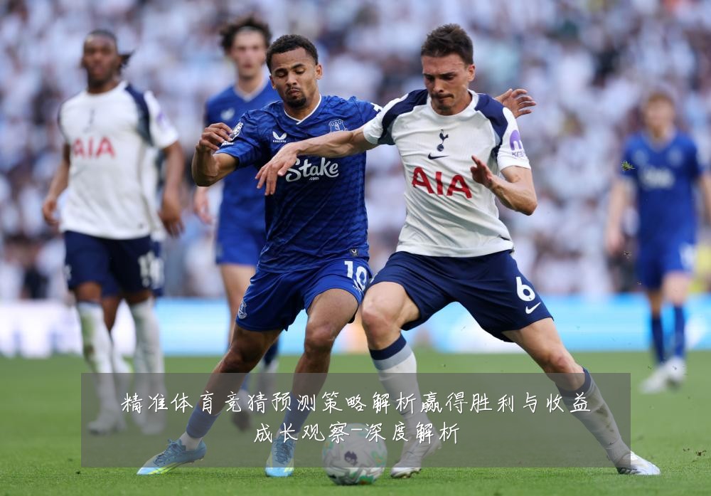 精准体育竞猜预测策略解析赢得胜利与收益成长观察-深度解析